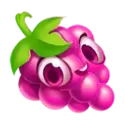 icon 4