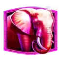 icon 4