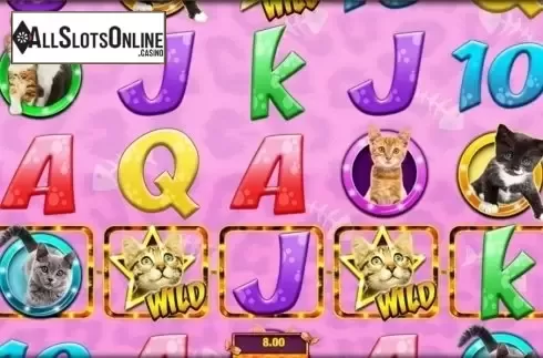 Screen 5. Meow Money from Nektan
