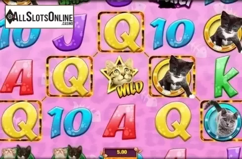 Screen 7. Meow Money from Nektan