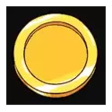 icon 13