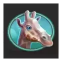 icon 4