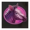 icon 5