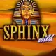 Sphinx Wild