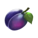icon 5