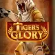 Tiger’s Glory