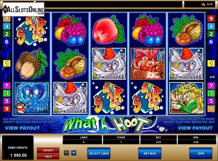 Screen5. What a Hoot from Microgaming