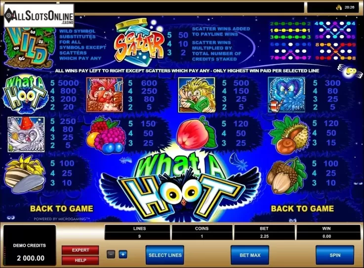 Screen2. What a Hoot from Microgaming