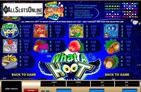 Screen2. What a Hoot from Microgaming
