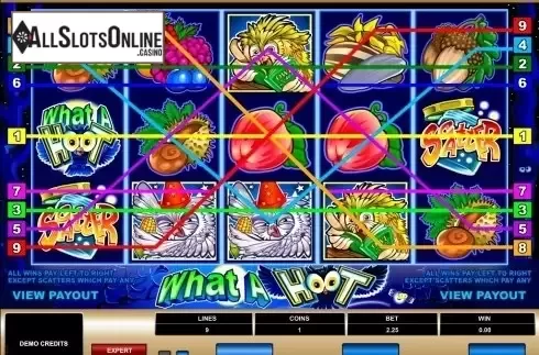 Screen4. What a Hoot from Microgaming
