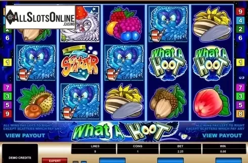Screen3. What a Hoot from Microgaming