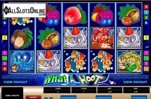 Screen5. What a Hoot from Microgaming