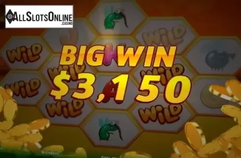 Big Win. Wild Honey from NetoPlay