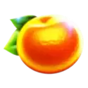 icon 6
