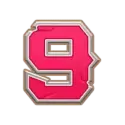 icon 9