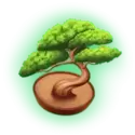 icon 5