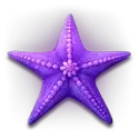 icon 4