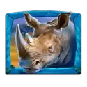 icon 4