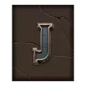 icon 9