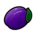 icon 5