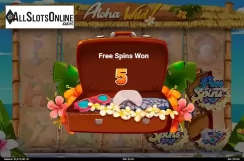 Win FS screen