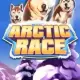 Arctic Race