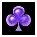 icon 7