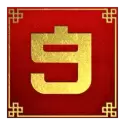 icon 13