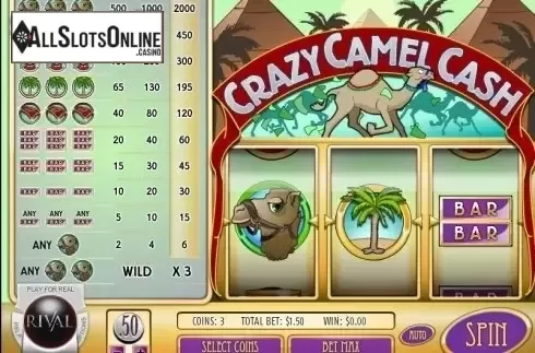 Screen2. Crazy Camel Cash from Rival Gaming