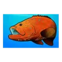 icon 2