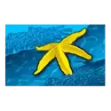 icon 6
