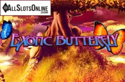 Exotic Butterfly. Exotic Butterfly from SG