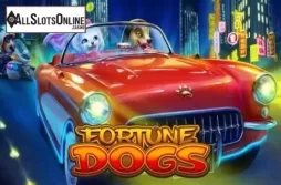 Fortune Dogs
