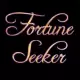 Fortune Seeker