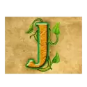 icon 12