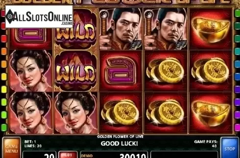 Screen 3. Golden Flower Of Life from Casino Technology
