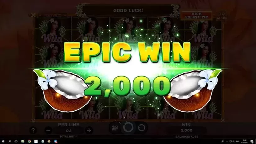 Hawaiian Bliss slot screenshot 5