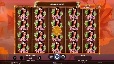 Hawaiian Bliss slot screenshot 4