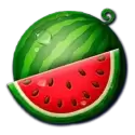 icon 4