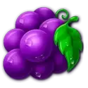 icon 5