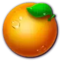 icon 6