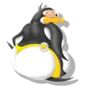 icon 5