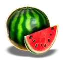 icon 4