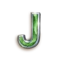 icon 10