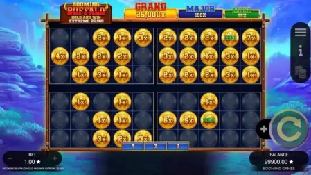Booming Buffalo Hold and Win Extreme 25000 slot screenshot 3