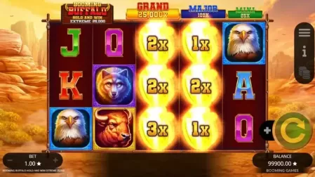Booming Buffalo Hold and Win Extreme 25000 slot screenshot 2
