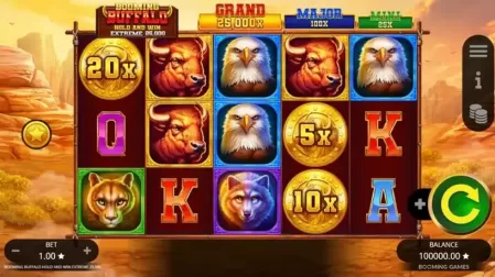 Booming Buffalo Hold and Win Extreme 25000 slot screenshot 1