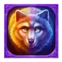 icon 4