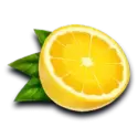 icon 10
