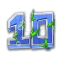 icon 10
